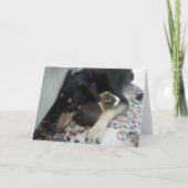 Carte Amis pour toujours (Devant)