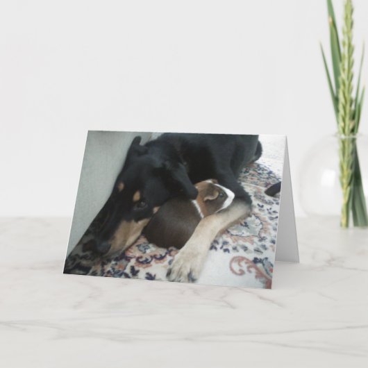 Carte Amis pour toujours (Devant)