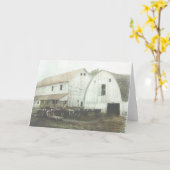 Carte Amish Dairy (Fleur jaune)