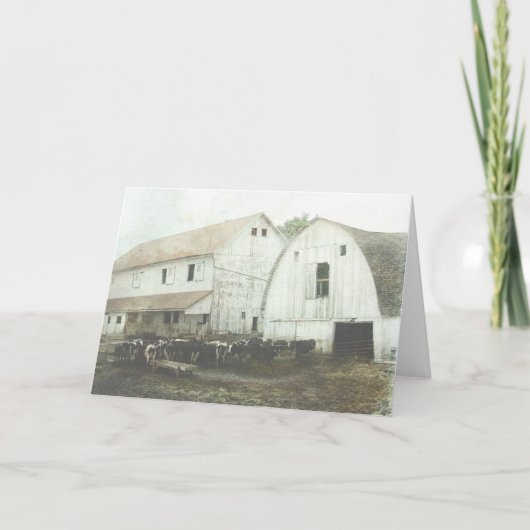 Carte Amish Dairy (Devant)