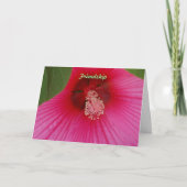 Carte amitié (Devant)