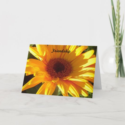 Carte Amitié (Devant)