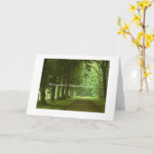 Carte Amitié, chemin (Fleur jaune)