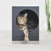 Carte amitié de chat tabby (Devant)