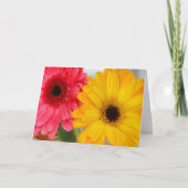 Carte Amitié florale lumineuse aux gerbera rose jaune (Devant)