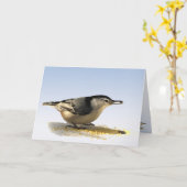Carte Amitié Nuthatch à poitrine blanche (Fleur jaune)