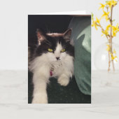 Carte Amour (Fleur jaune)