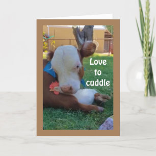 CARTE AMOUR À *CUDDLE* AVEC *VOUS* ANNIVERSAIRE AMOUR