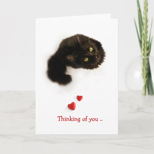 Carte Amour Chat Pensée pour toi (Devant)
