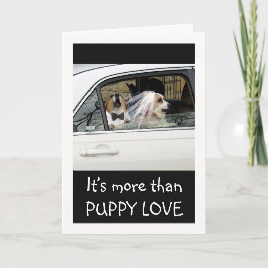Carte Amour chiot drôle pour mari avec Corgi Couple (Devant)