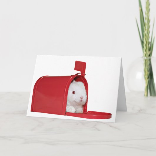 Carte Amour dans le courrier (Devant)