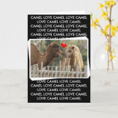 Carte AMOUR de chameau - AUCUNES FRONTIÈRES (Fleur jaune)