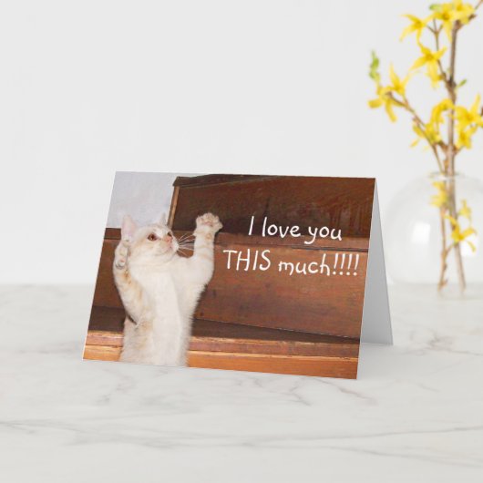 Carte Amour de chat Ktty (Fleur jaune)