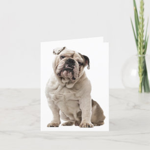 Carte Amour de chiot bouledogue, Bonjour en pensant à vo