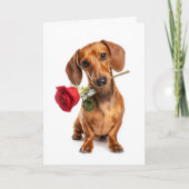 Carte Amour de chiot de la Saint-Valentin pour teckel av (Devant)