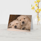 Carte Amour de frère (Fleur jaune)