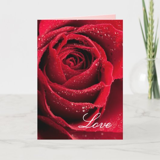 Carte Amour de la rose rouge Relation Amitiés Tout usage (Devant)