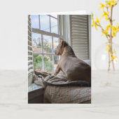 Carte Amour de Pit Bull Vous Manque (Fleur jaune)