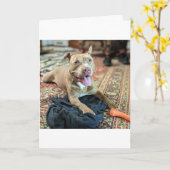 Carte Amour de Pitbull (Fleur jaune)