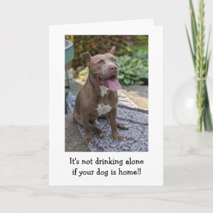 Carte Amour de Pitbull Drôle