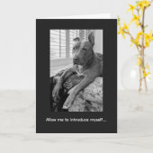 Carte Amour de Pitbull McLovin (Fleur jaune)