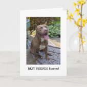 Carte Amour de Pitbull Pensée pour toi (Fleur jaune)