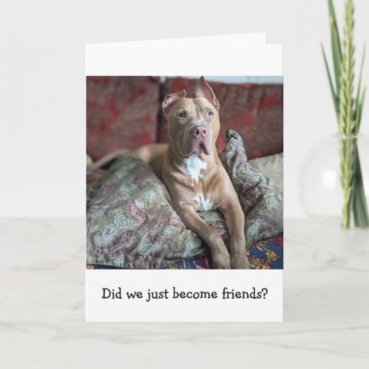Carte Amour de Pitbull Pensée pour toi (Devant)