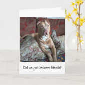 Carte Amour de Pitbull Pensée pour toi (Fleur jaune)
