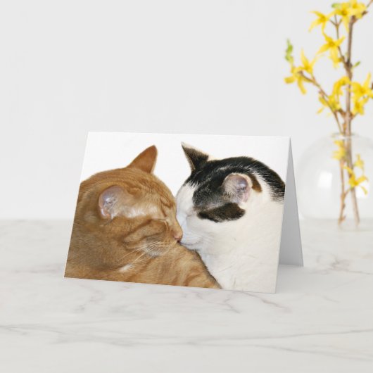 carte amour kitty (Fleur jaune)