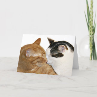 carte amour kitty
