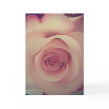 Amour rose