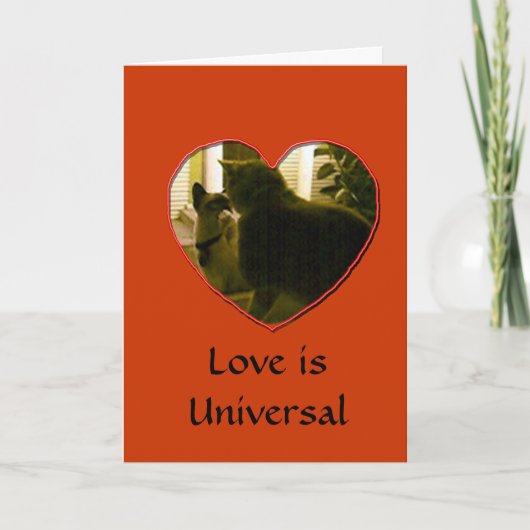Carte - Amour universel (Devant)