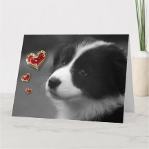 Amour Vous Chiot Mignon Cœurs Rouges Or