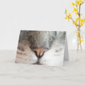 Carte Amoureux des chats Amusant Anniversaire (Fleur jaune)