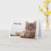 CARTE **AMOUREUX DES CHATS** FUNNY ANNIVERTHDAY GREETING (Fleur jaune)