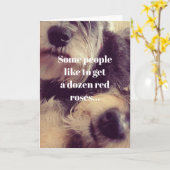 Carte Amoureux des chiens (Fleur jaune)