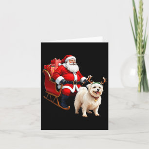 Carte Amoureux des chiens animal Père Noël Sleigh Maltes