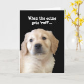 Carte Amoureux des chiens Get Well Card (Fleur jaune)