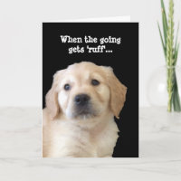 Amoureux des chiens Get Well Card