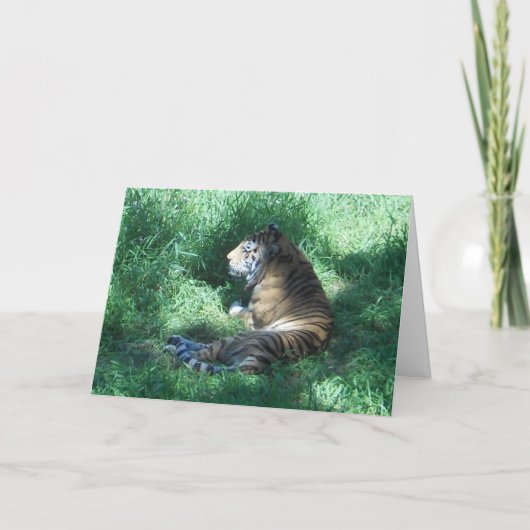 Carte "Amur Tiger" (Devant)