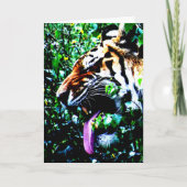 Carte Amur Tiger gcna (Devant)