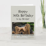 Carte Amusant 30e anniversaire Brother mignon chien anim<br><div class="desc">Amusant 30ème anniversaire 30 Frère mignon Yorkshire Terrier Yorkie Chien Animal</div>