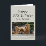 Carte Amusant 30e anniversaire Brother mignon chien anim<br><div class="desc">Amusant 30ème anniversaire 30 Frère mignon Yorkshire Terrier Yorkie Chien Animal</div>