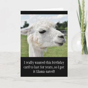 Carte Amusant Alpaca Llama Anniversaire