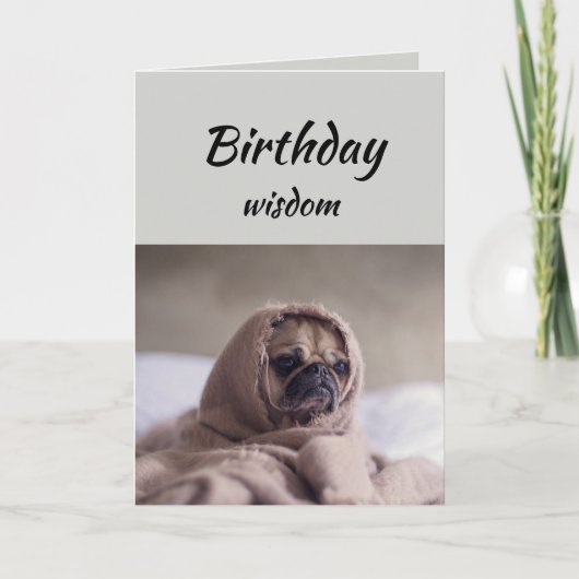 Carte Amusant Anniversaire Sagesse avec mignon chien Car (Devant)