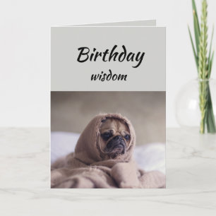 Carte Amusant Anniversaire Sagesse avec mignon chien Car