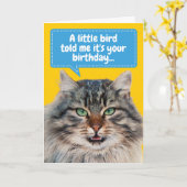 Carte Amusant Cat Ate Bird Salutation d'anniversaire (Fleur jaune)