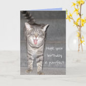 Carte Amusant chat Yawning Anniversaire (Fleur jaune)