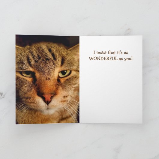 Carte Amusant Frère Chat Anniversaire (Intérieur)