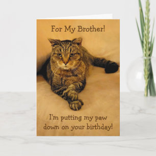 Carte Amusant Frère Chat Anniversaire
